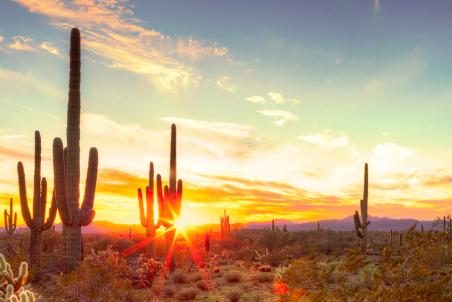 Native American Southwest Art Galleries Official Travel