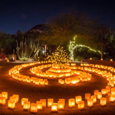 Christmas Light