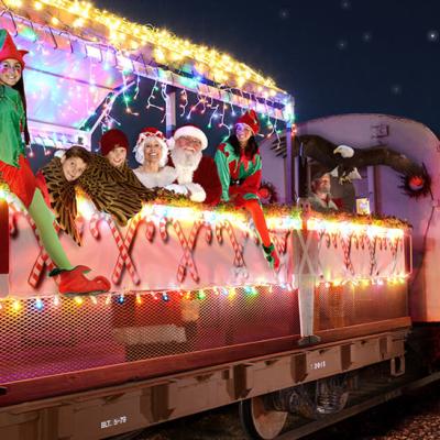 Christmas Train