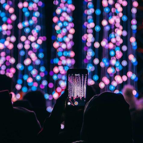 Christmas Light