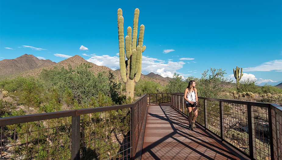 tourist attractions scottsdale az