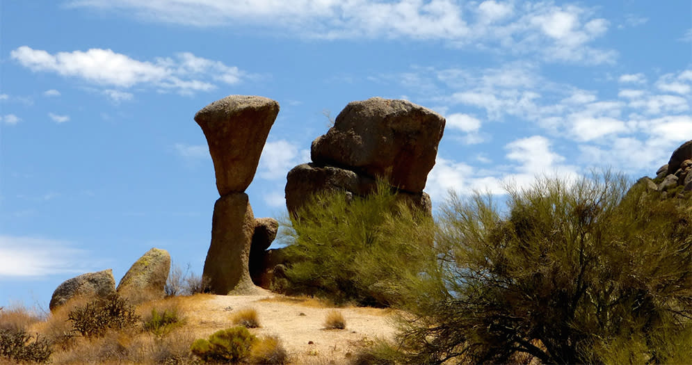 The Impossible Beauty of the Desert 1