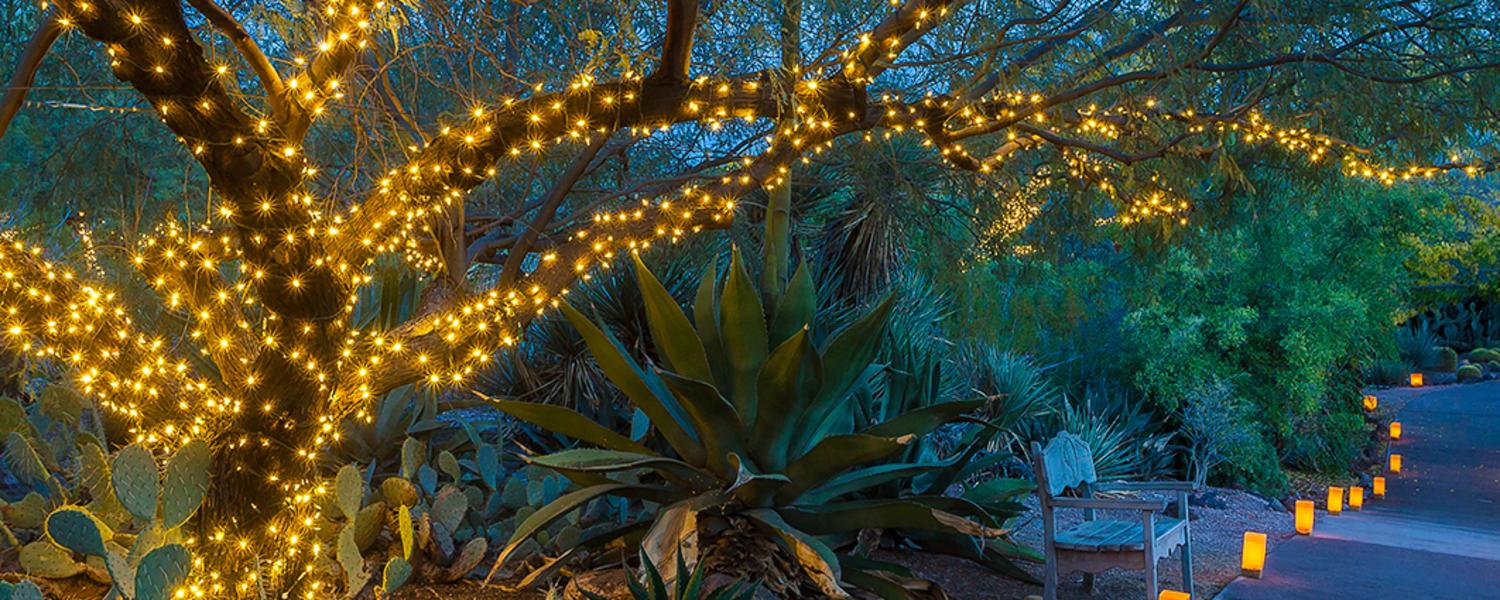 Holiday Lights Slide