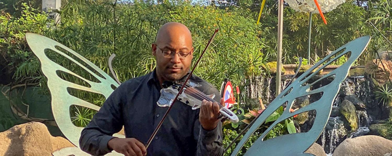 The Magic of Music and Butterflies