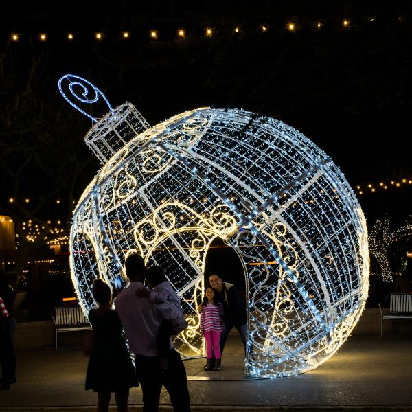 Scottsdazzle