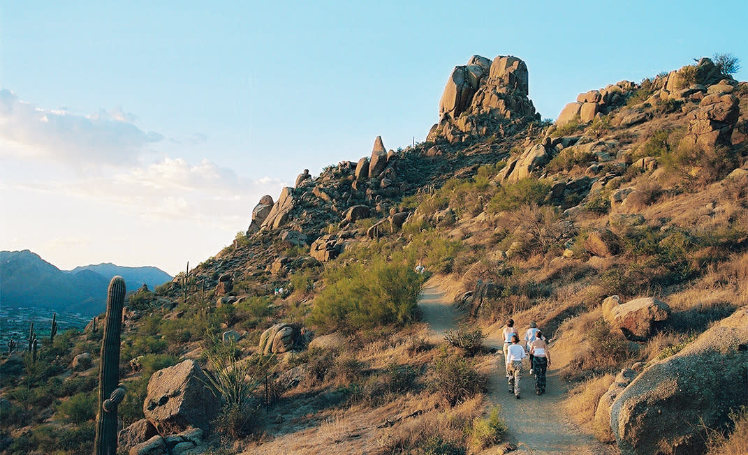 Pinnacle Peak View