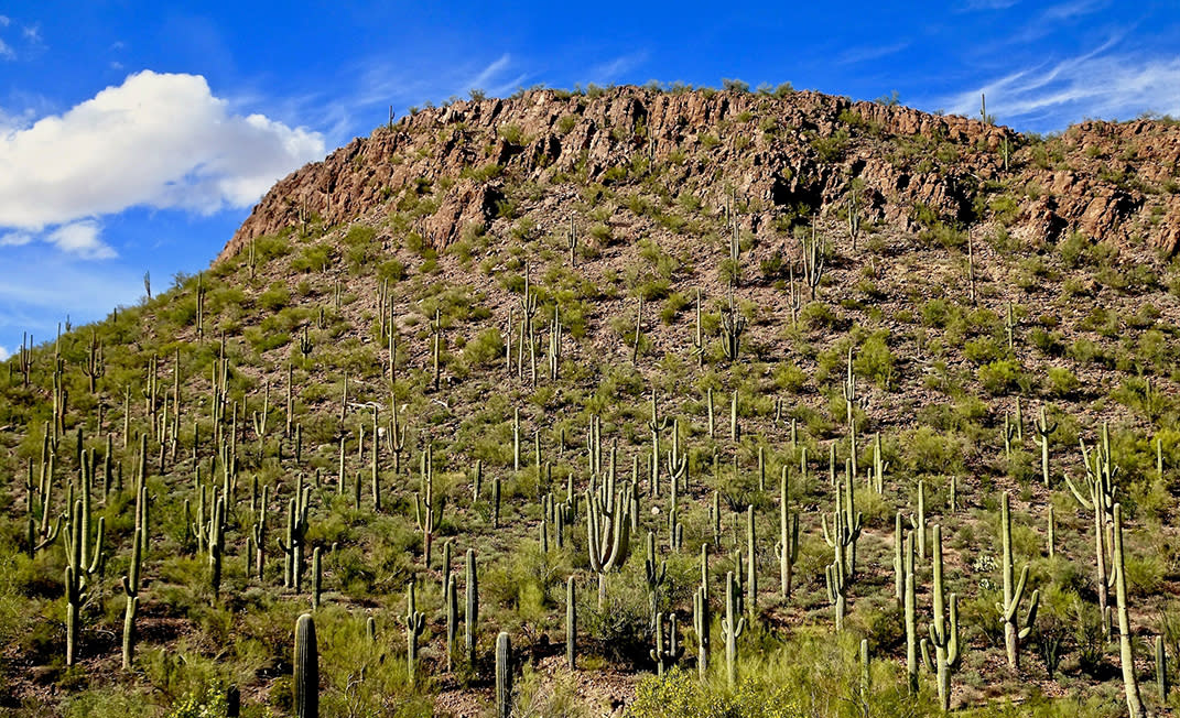 AZ State and National Parks