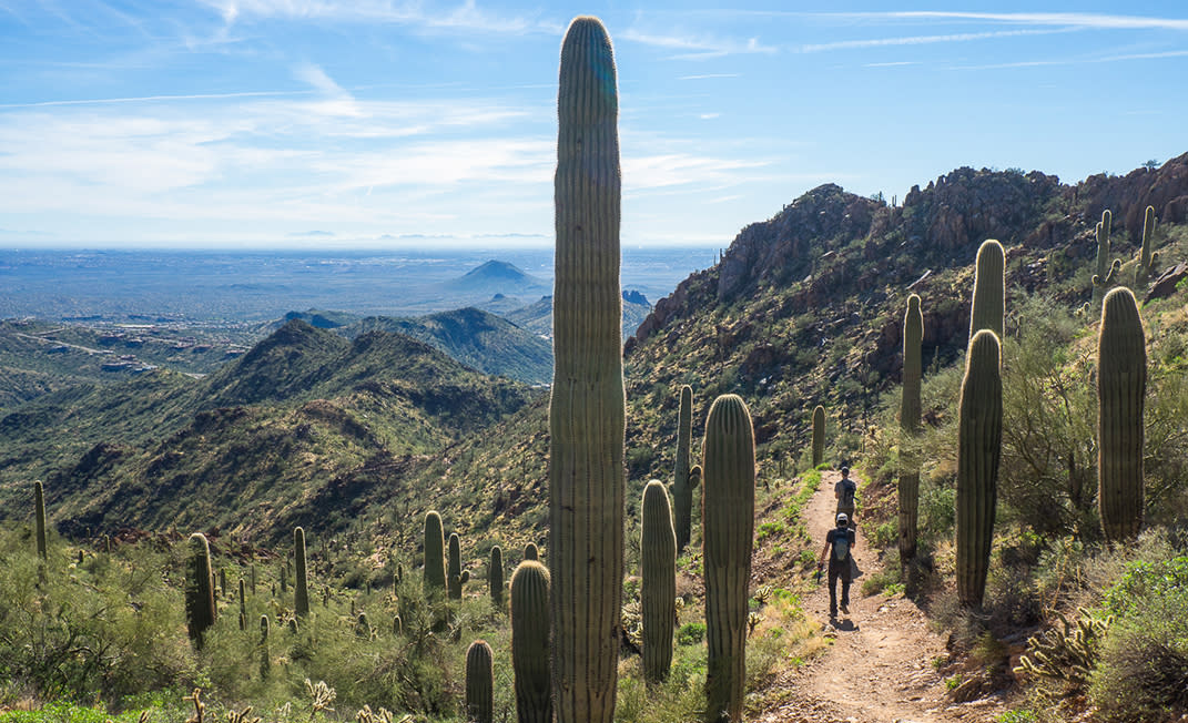 Challenging Fitness Hikes in Scottsdale