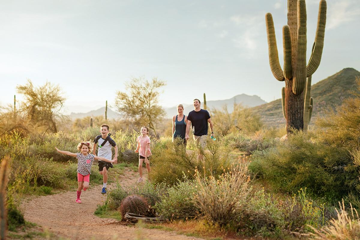 Half Day Itineraries For Scottsdale, H&M Landscape