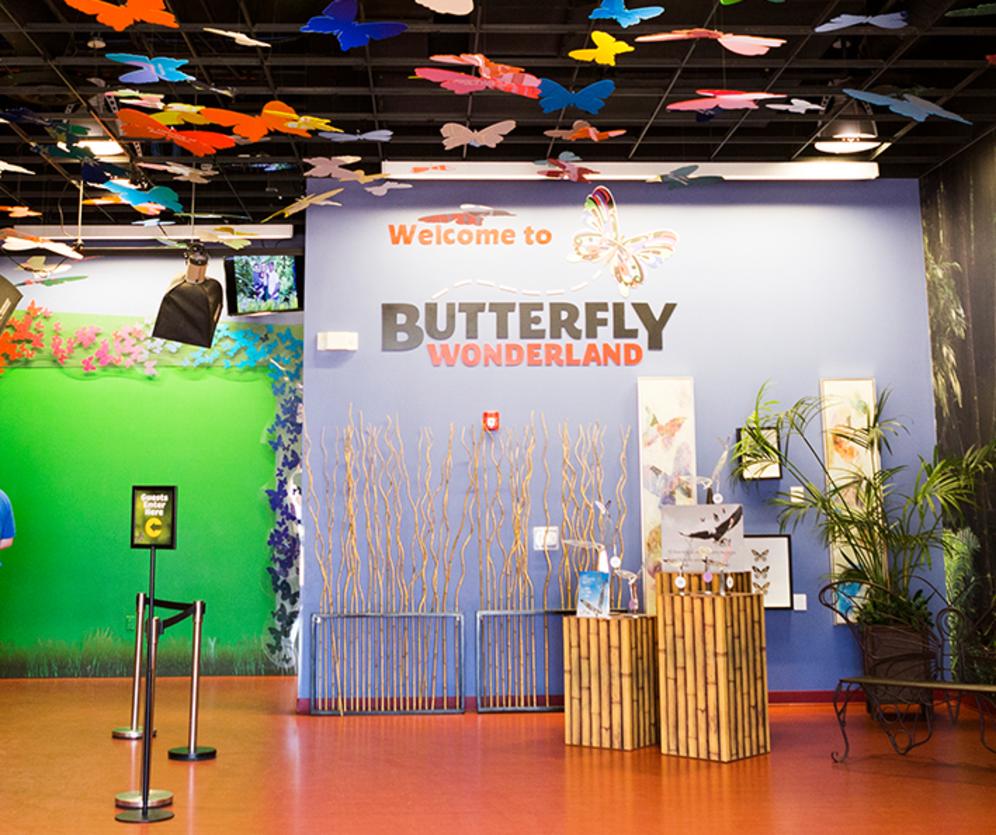 Erfly Wonderland Lobby