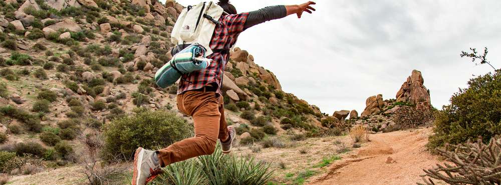 Hiking in Scottsdale: 7 Great Trails
