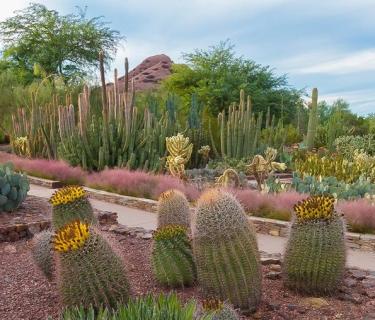 DBG-medium_10DDE46E-D4AE-C2A2-