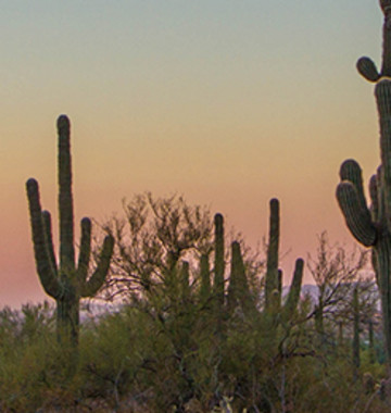 Southwest Desert Travel Tips: Scottsdale, Arizona Guide