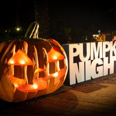 Official Travel Site for Scottsdale, Arizona