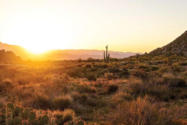 8 Best Places To Take Pictures In Scottsdale, AZ