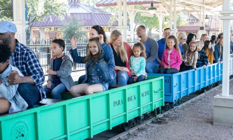 McCormick-Stillman Railroad Park