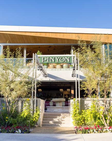 Pinyon Coastal Mediterranean