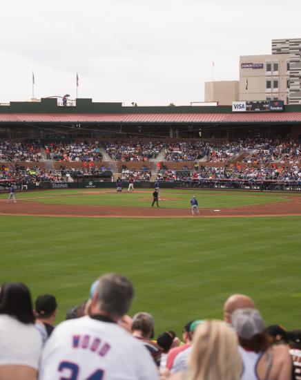 MLB Spring Training
