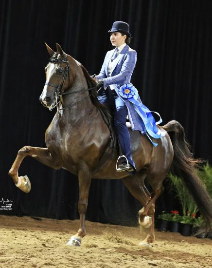 Arabian National Breeder Finals