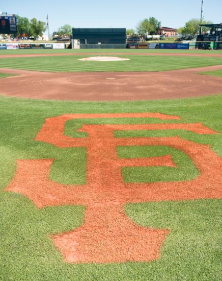 Vineyards in the Valley