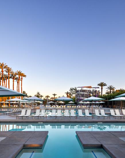Dive In Movie at Grand Hyatt Scottsdale Resort