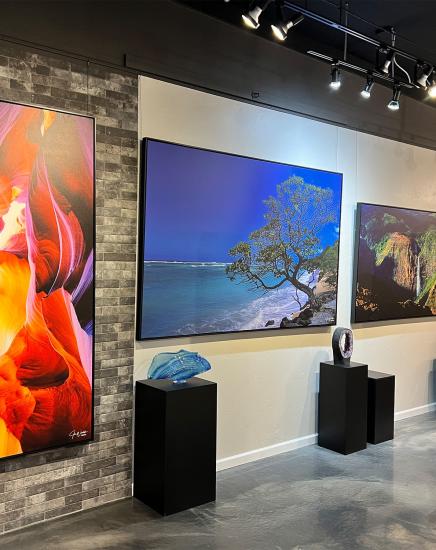 Pavilion Fine Arts Gallery