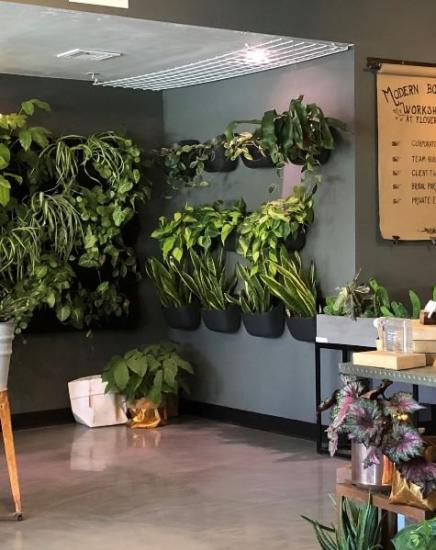 Flower Bar