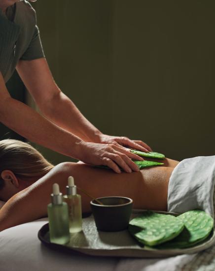 Spa at Four Seasons Resort Scottsdale