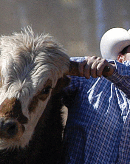 Rodeo Scottsdale (Parada Del Sol)