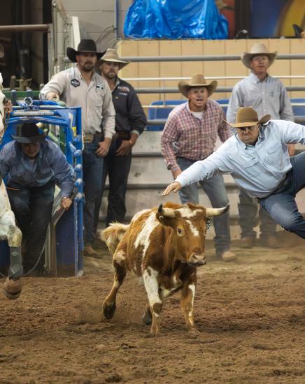 West's Most Western Rodeo at WestWorld