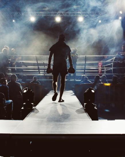 United Fight League