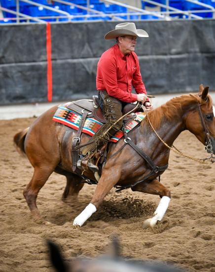 AZQHA Arizona Fall Championship