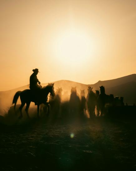Arizona Black Rodeo 2025