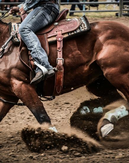 Cactus Reining Classic