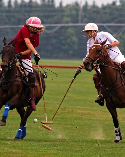 Bentley Scottsdale Polo Championships