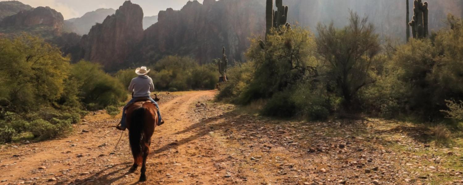 Horse riding