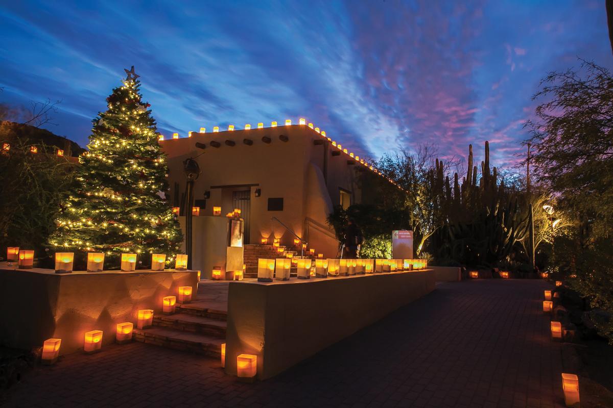 Luminarias at Desert Botanical Garden