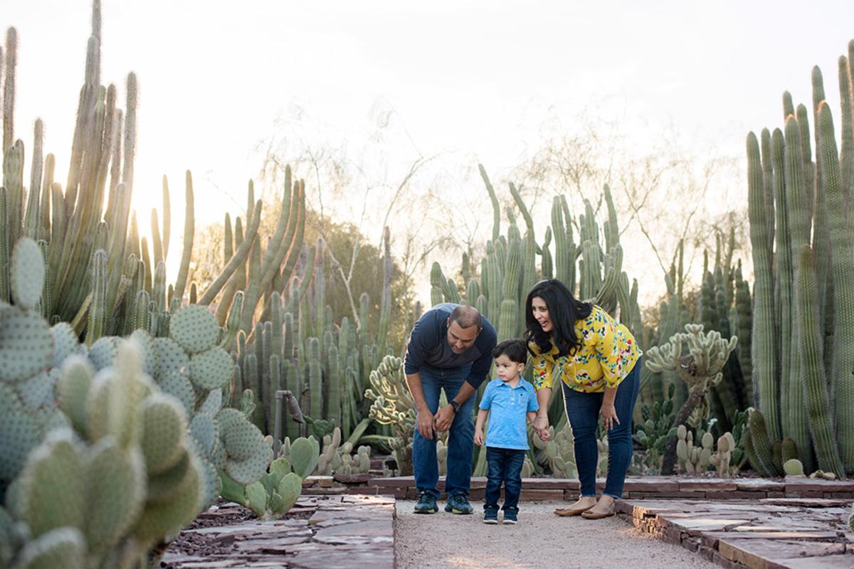 Desert Botanical Garden View