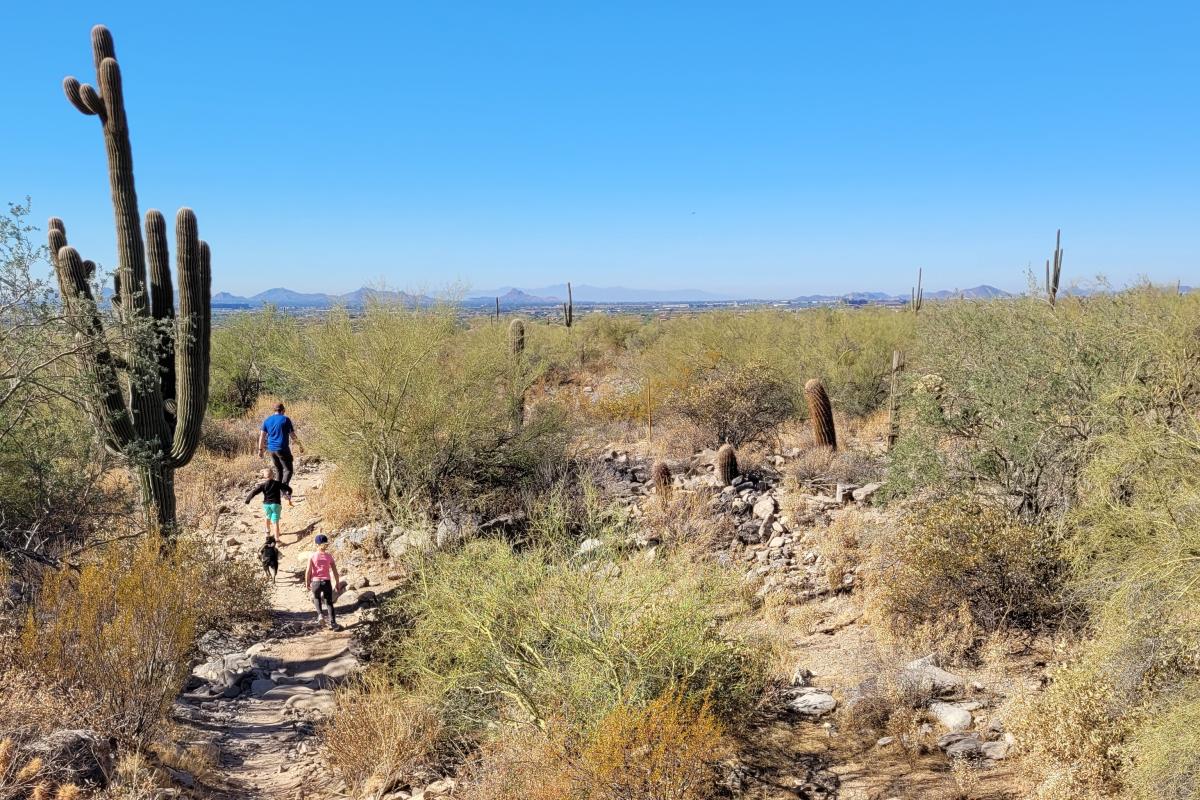McDowell Sonoran Preserve Family Friendly Hikes
