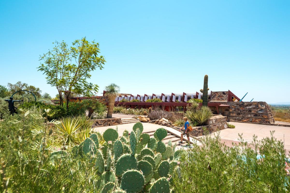 Things to Do in Scottsdale Arizona