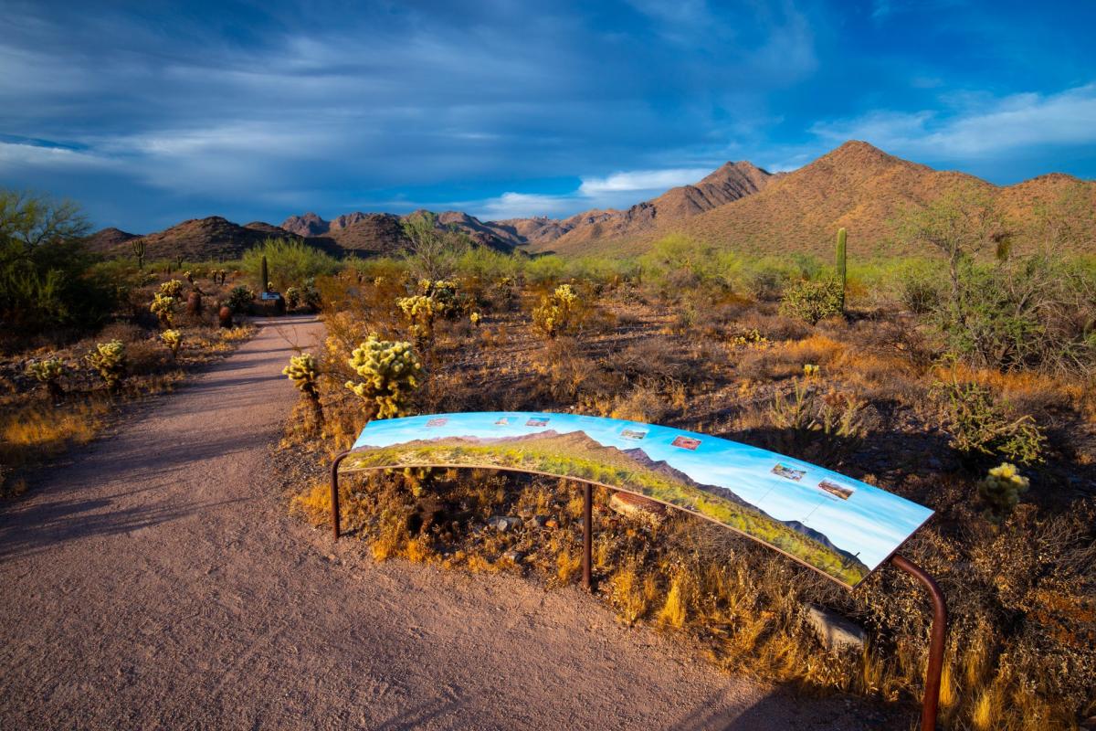 Bajada Nature Trail