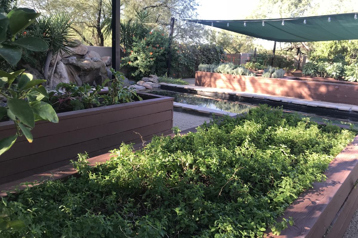Boulders Organic Garden