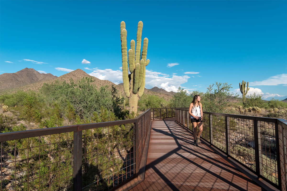 Hiking Bridge