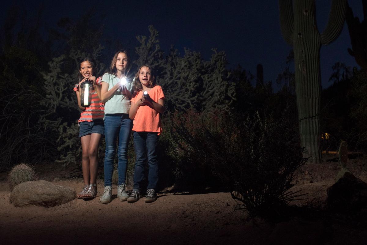 Desert Botanical Garden Flashlight Tour