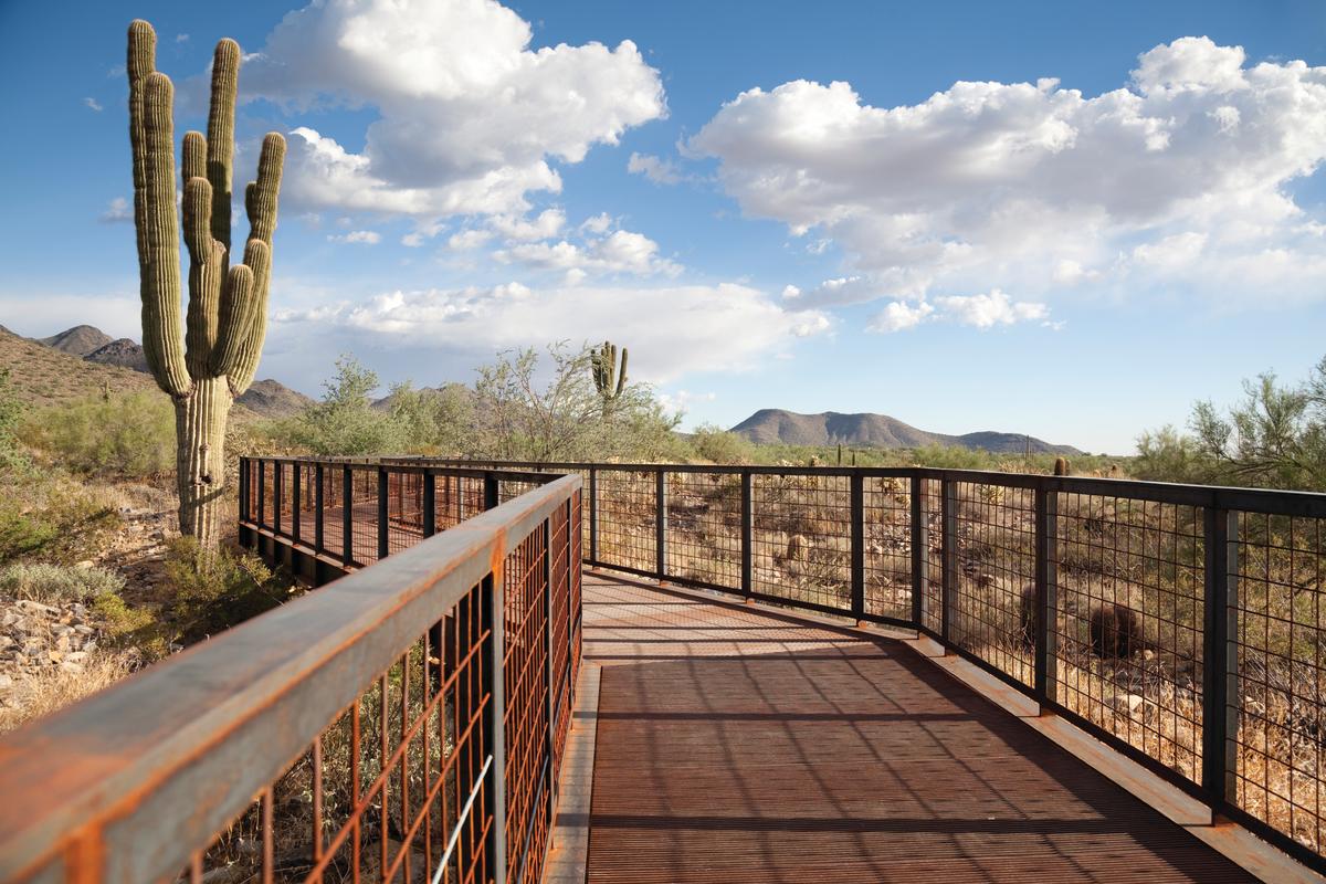 7 Must-Visit Parks in Scottsdale, AZ