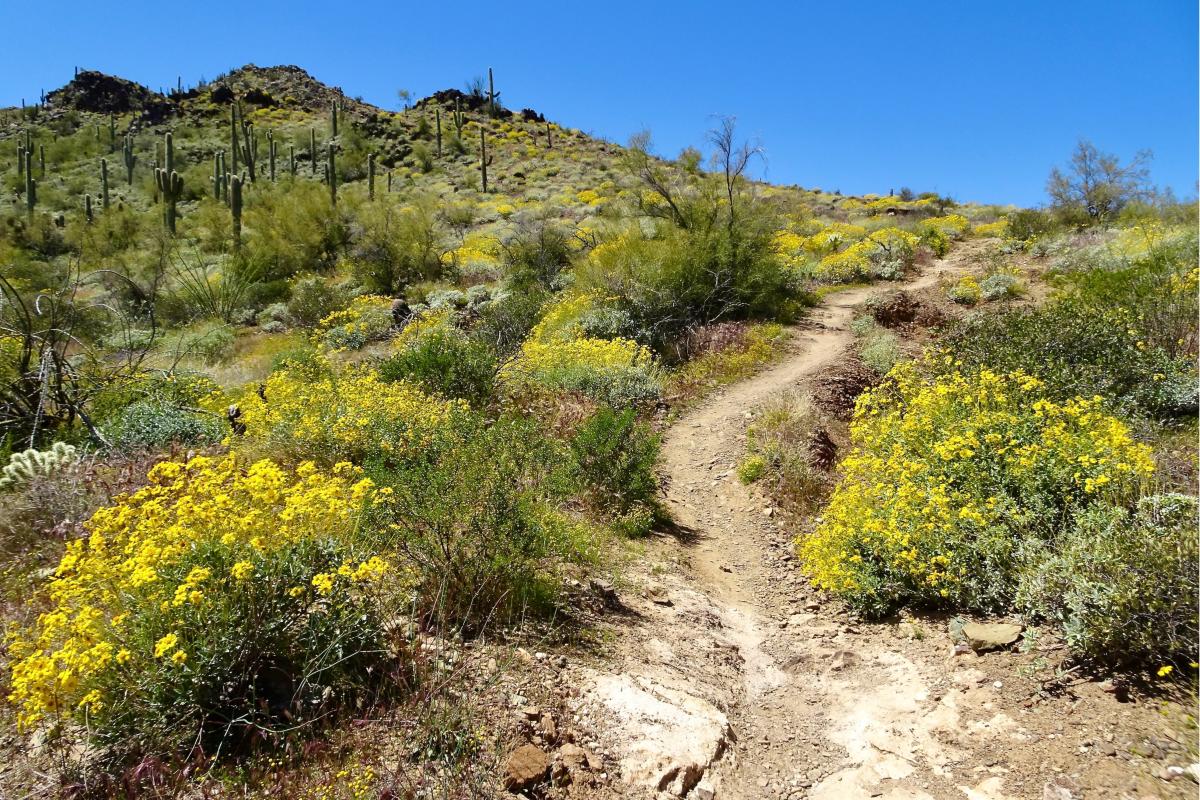 Go John Trail_Naylor