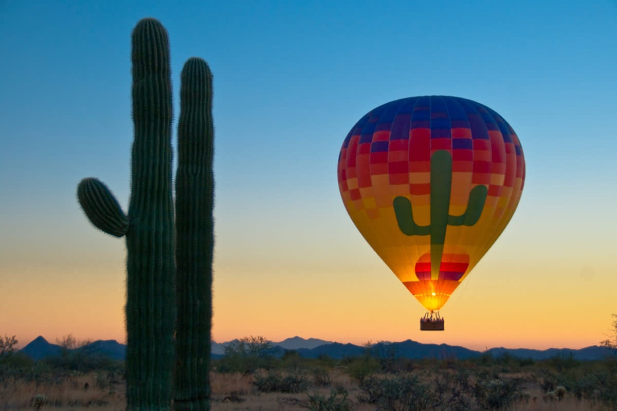 hot air balloon