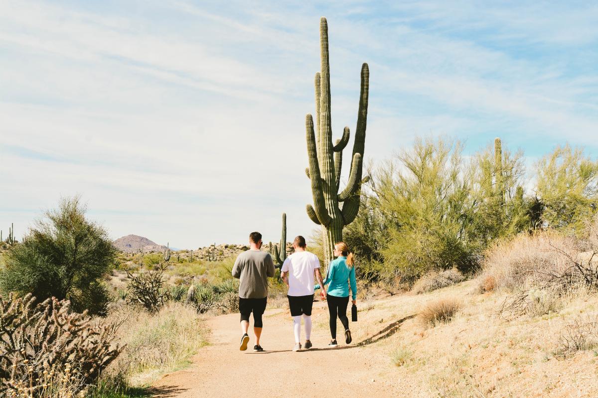 Hiking