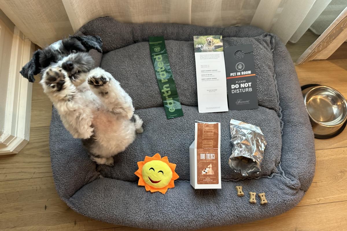 Dog receiving treats at Fairmon Princess resort in Scottsdale