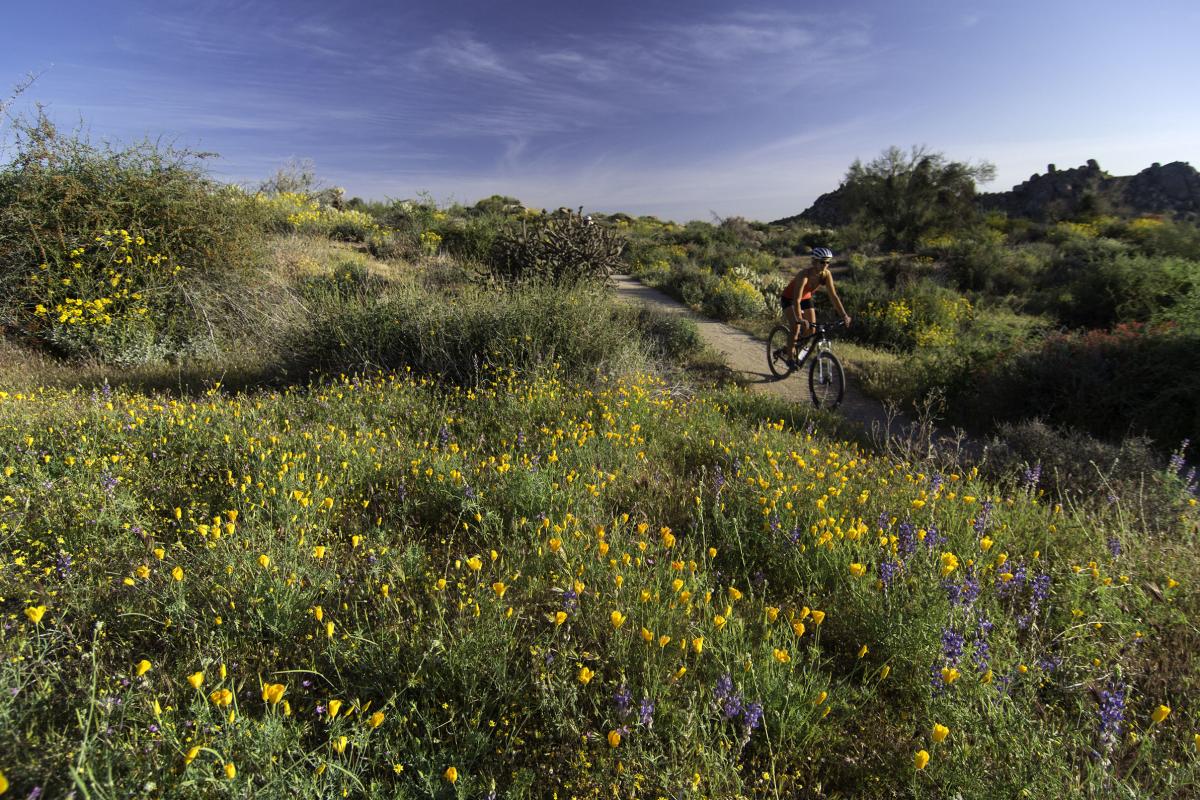 McDowell Sonoran Preserve_KJames